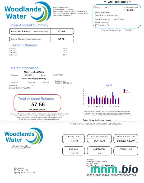 USA WOODLANDS WATER rachunek za media Word i PDF template